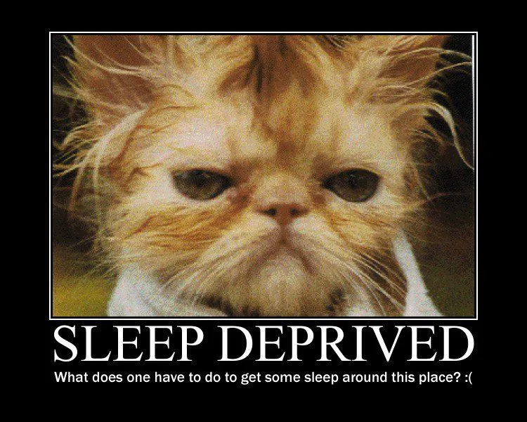 Look into my eyes: go to sleep, go to sleep….